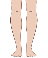 Front legs